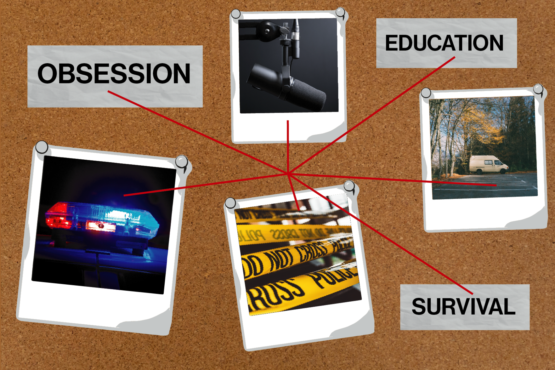 Why am I interested in serial killer stories graphic (png)